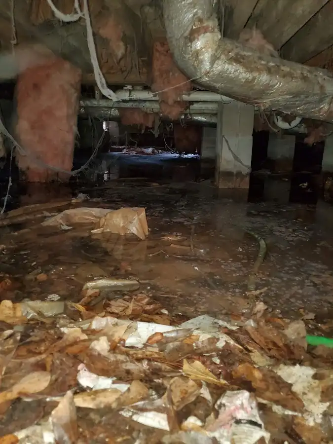 Crawl space flood assessment for Leak Detection & Repair in White Settlement