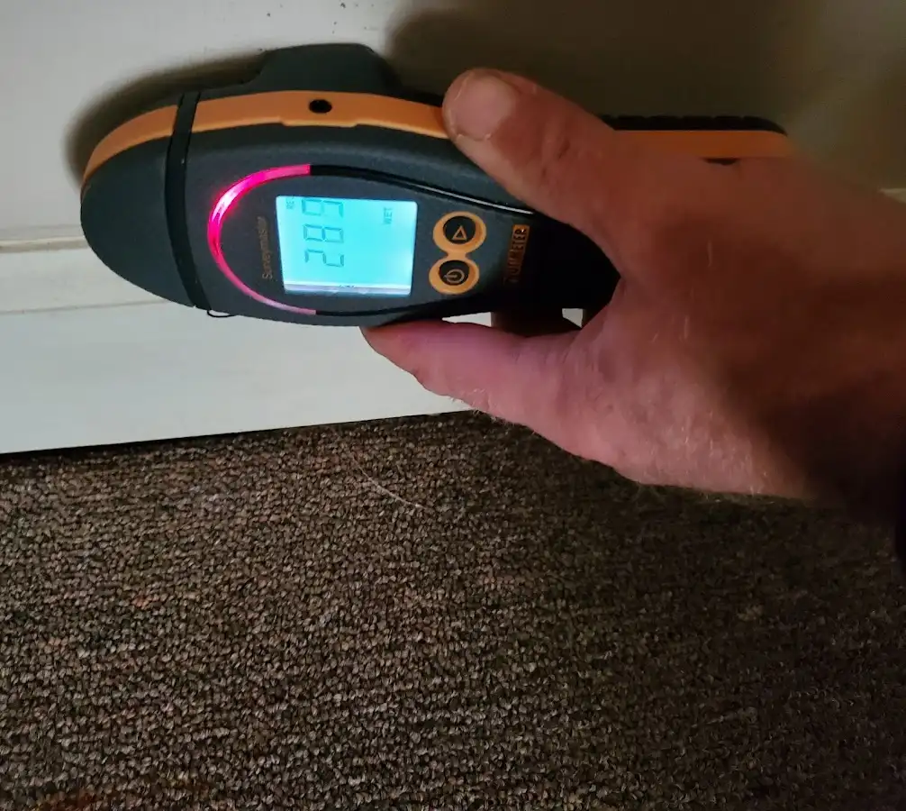 Moisture detection at baseboard during Mold Inspection & Testing in White Settlement